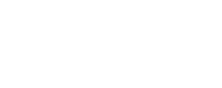 synottip